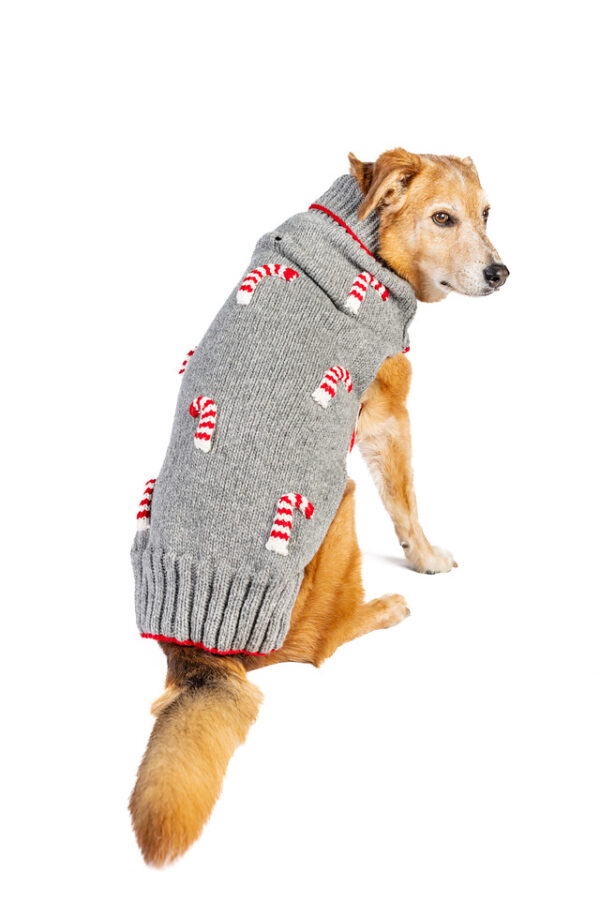 Candy Cane Dog Sweater - Image 4