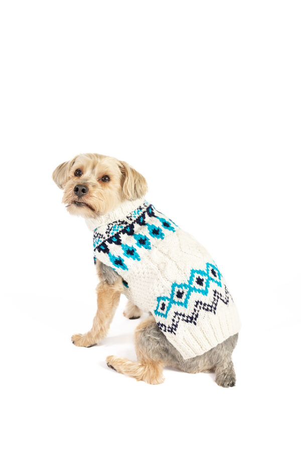 Coastal Cable Dog Sweater