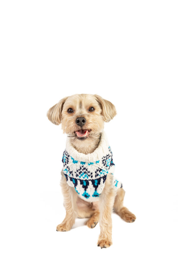 Coastal Cable Dog Sweater - Image 5