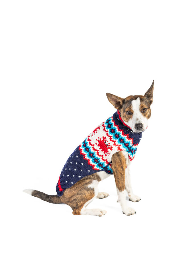 Crabby Dog Sweater - Image 3