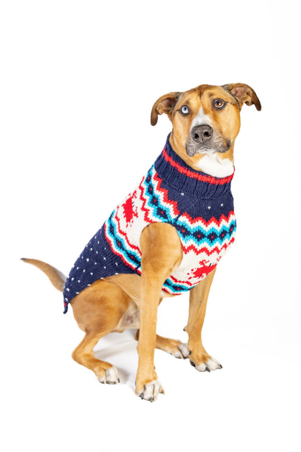 Crabby Dog Sweater - Image 4