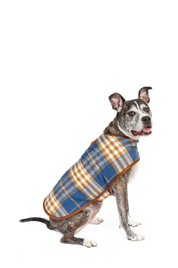 Western Plaid Dog Coat - Image 2