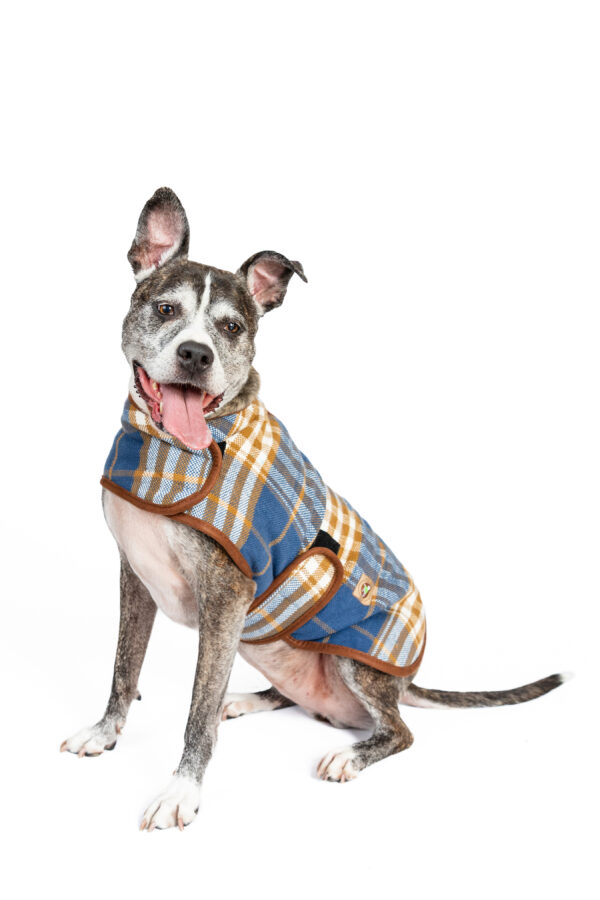 Western Plaid Dog Coat - Image 3