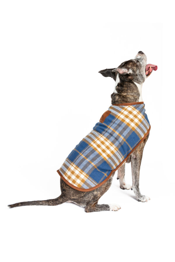Western Plaid Dog Coat - Image 4