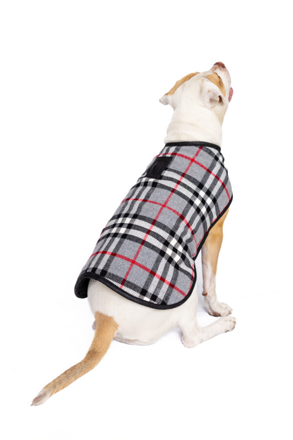 Steel Tartan Plaid Dog Coat - Image 10