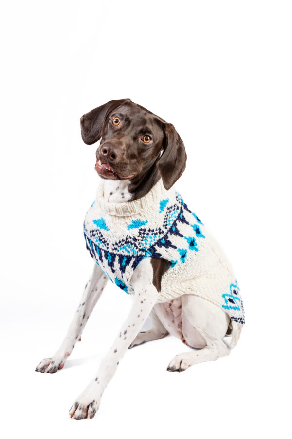 Coastal Cable Dog Sweater - Image 3