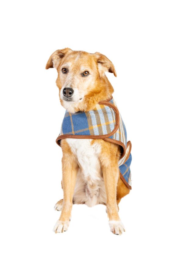 Western Plaid Dog Coat - Image 13