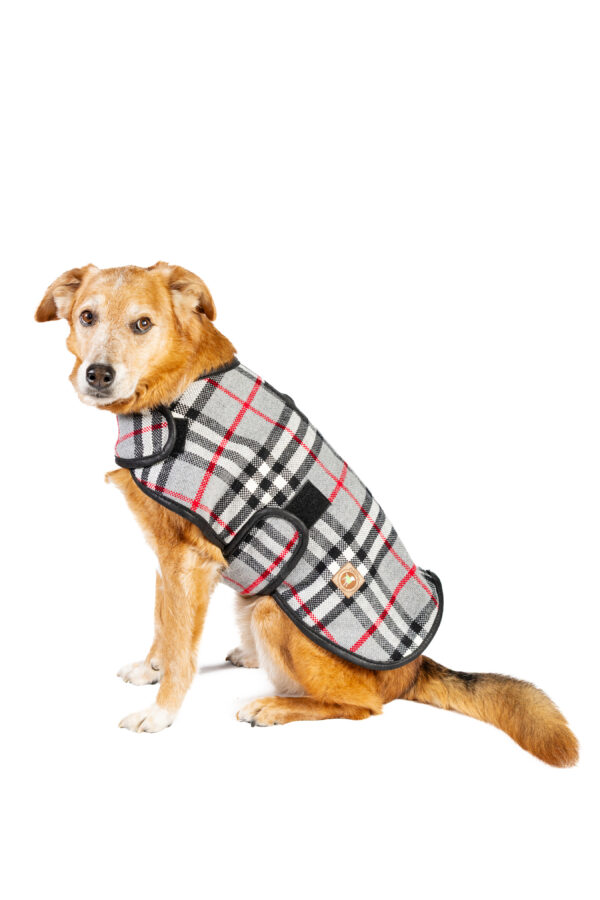 Steel Tartan Plaid Dog Coat - Image 7