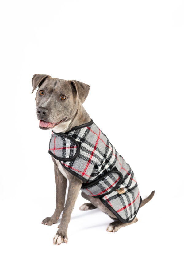 Steel Tartan Plaid Dog Coat