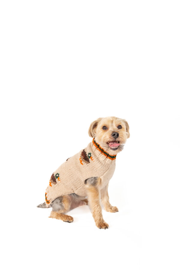 Lucky Duck Dog Sweater - Image 4