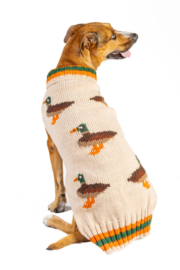 Lucky Duck Dog Sweater - Image 2