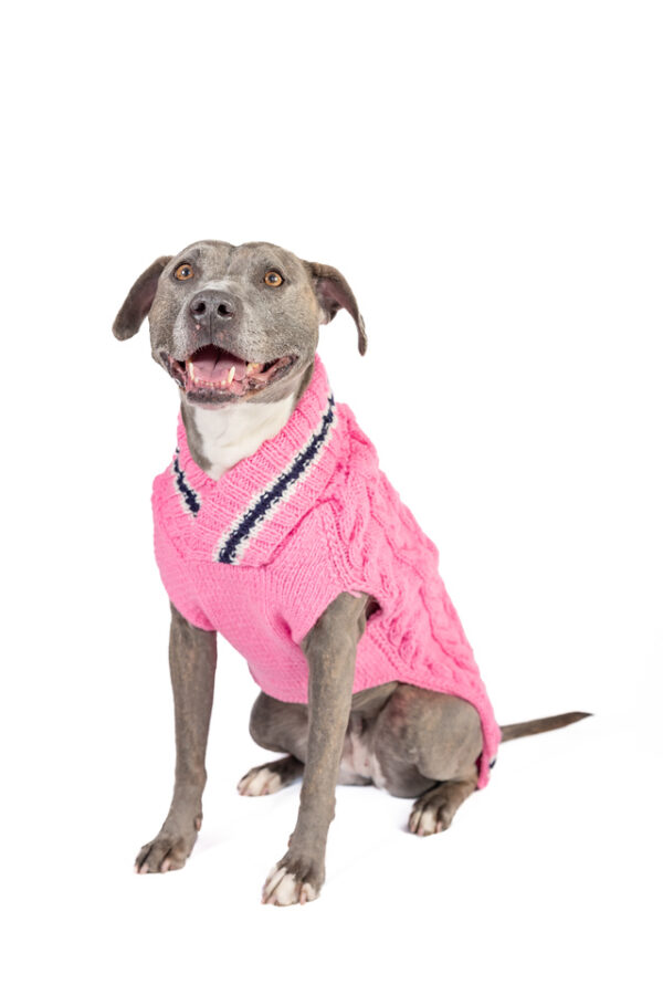 Preppy Pink Cable Knit