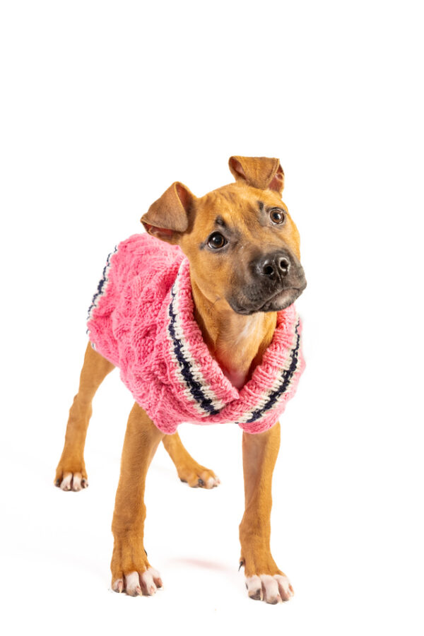 Preppy Pink Cable Knit - Image 2
