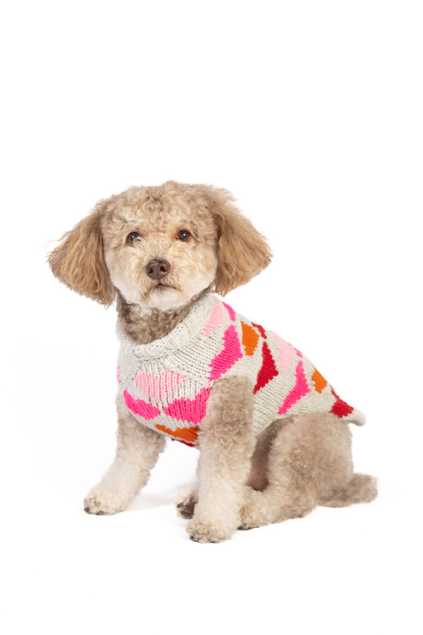 Puppy Love Knit Dog Sweater - Image 4