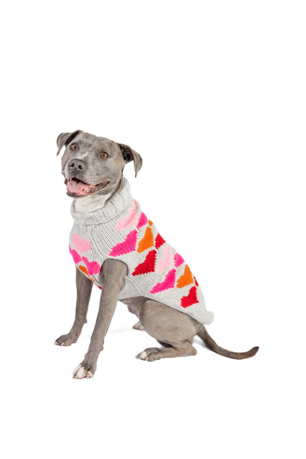 Puppy Love Knit Dog Sweater - Image 6
