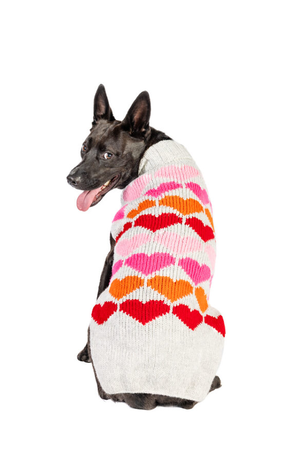 Puppy Love Knit Dog Sweater - Image 2