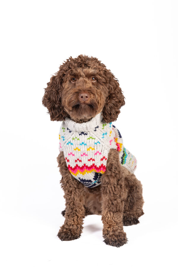 Rainbow Snowflake Dog Sweater - Image 5