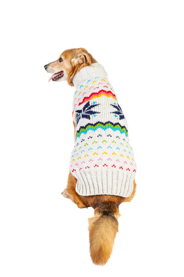Rainbow Snowflake Dog Sweater - Image 4