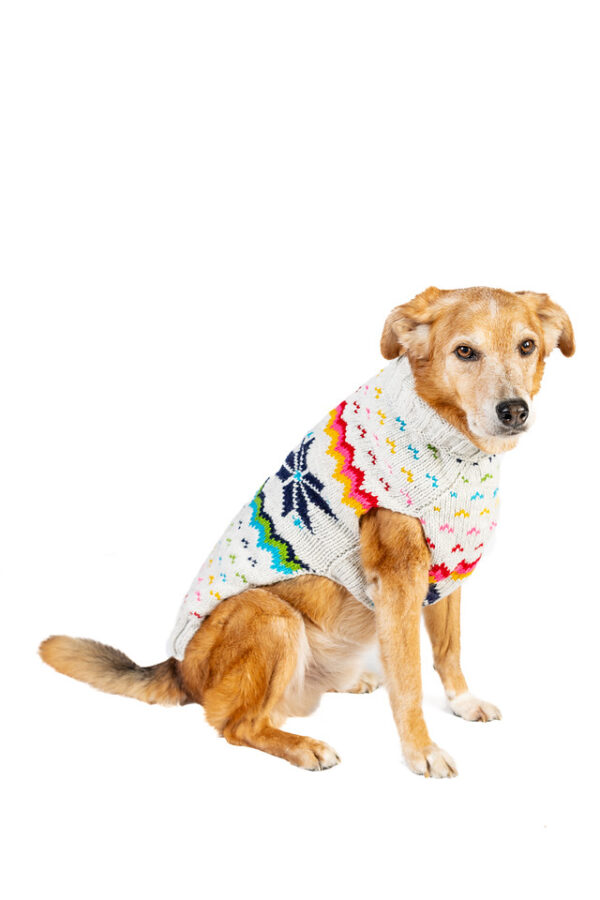 Rainbow Snowflake Dog Sweater - Image 3
