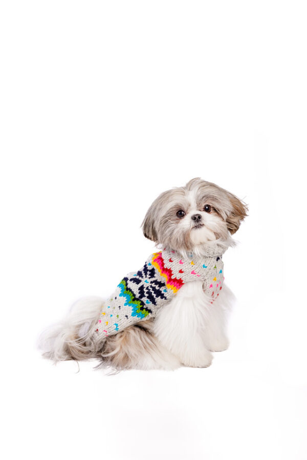Rainbow Snowflake Dog Sweater - Image 2