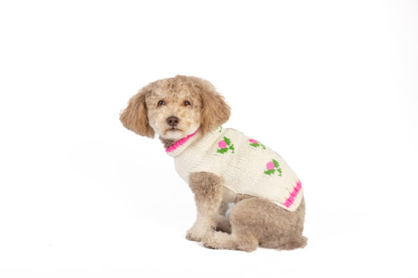 Rose Bud Knit Dog Sweater - Image 4