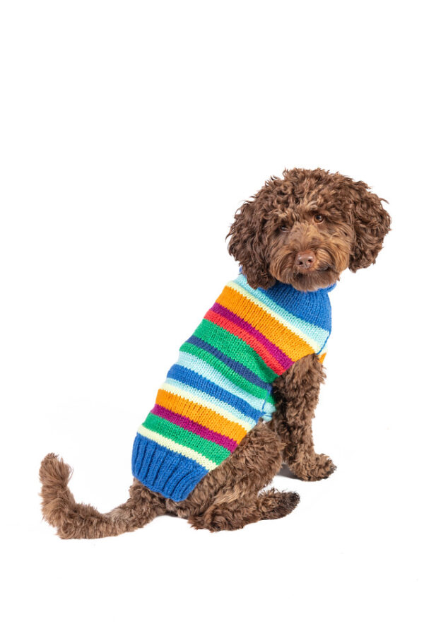 Alpaca Royal Stripe Dog Sweater