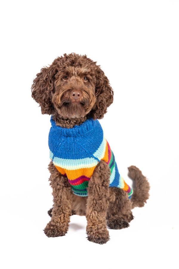 Alpaca Royal Stripe Dog Sweater - Image 3