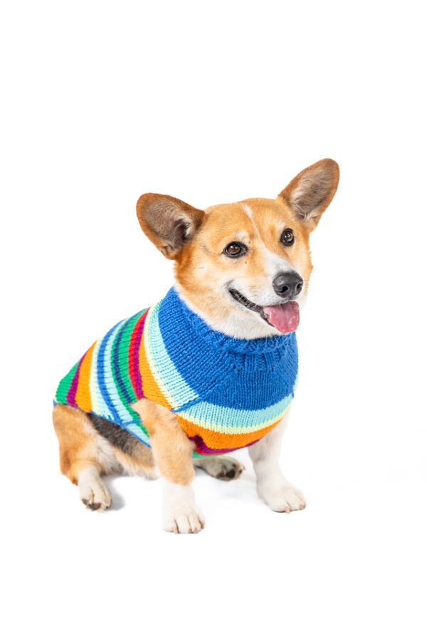 Alpaca Royal Stripe Dog Sweater - Image 6