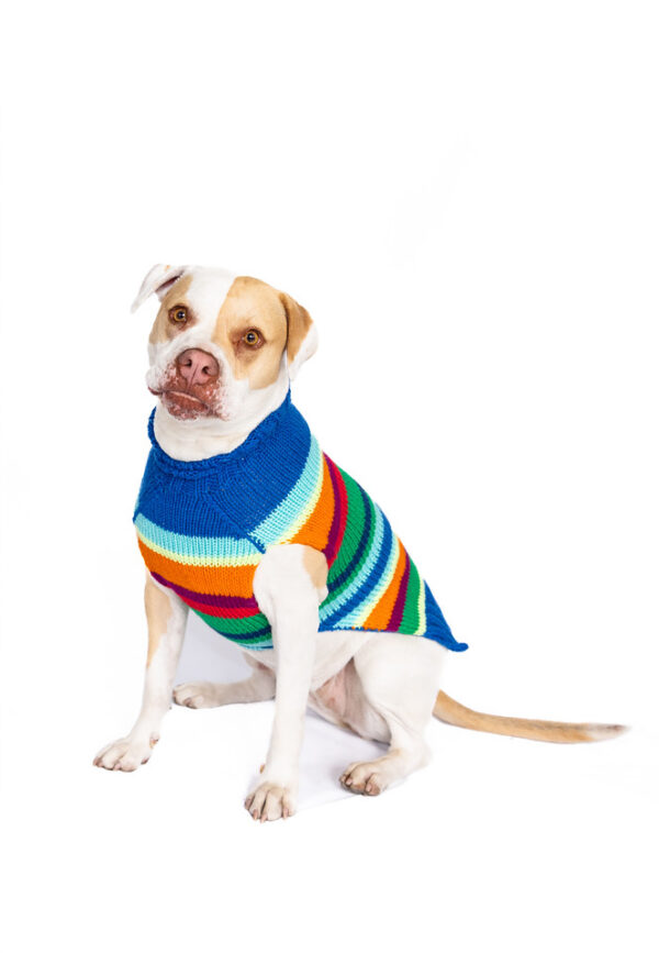 Alpaca Royal Stripe Dog Sweater - Image 7