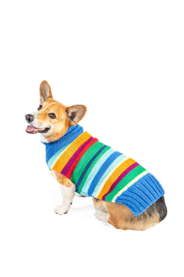 Alpaca Royal Stripe Dog Sweater - Image 5