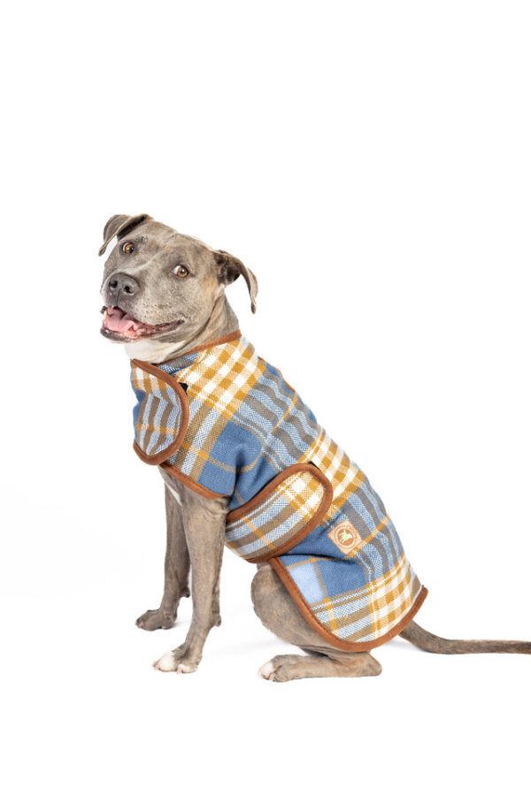 Western Plaid Dog Coat - Image 11