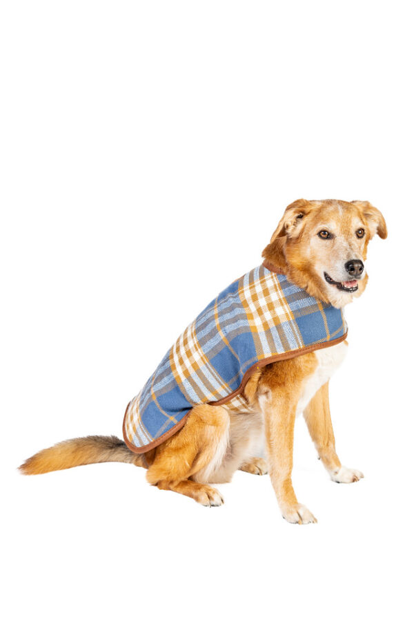 Western Plaid Dog Coat