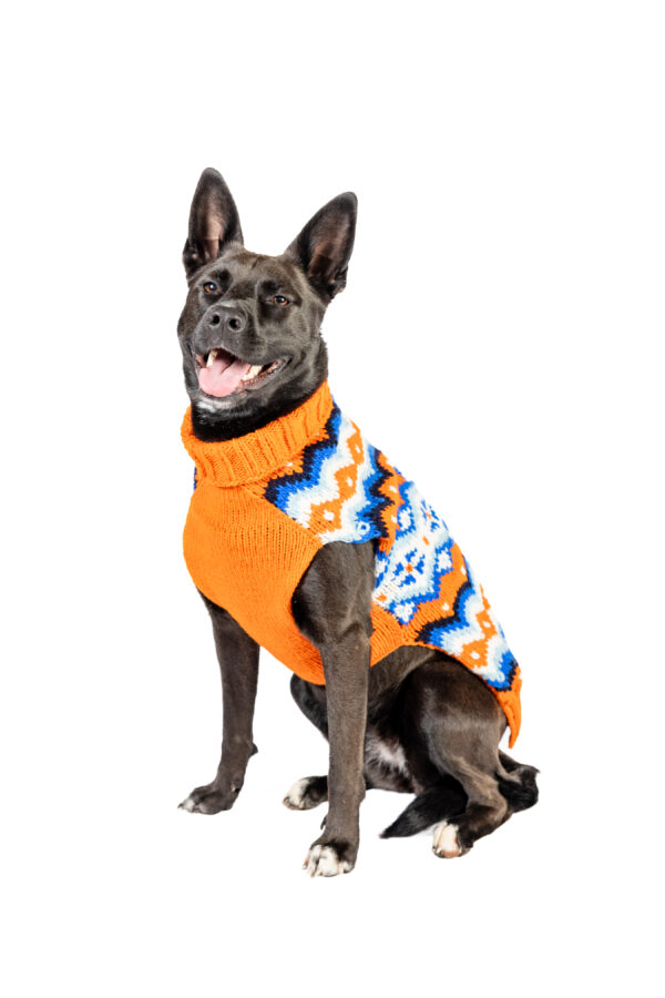 Campfire Dog Sweater - Image 5