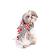 Candy Cane Dog Sweater - Image 5