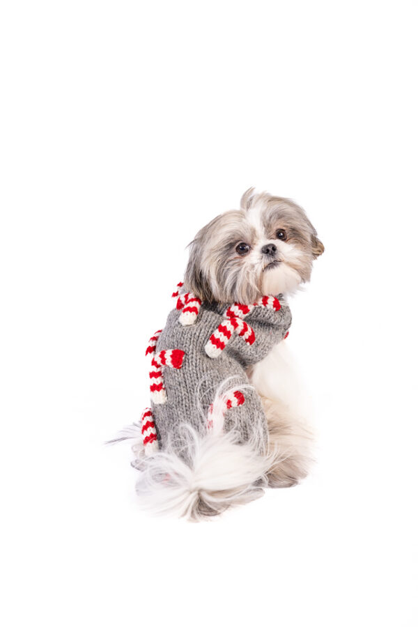 Candy Cane Dog Sweater - Image 5