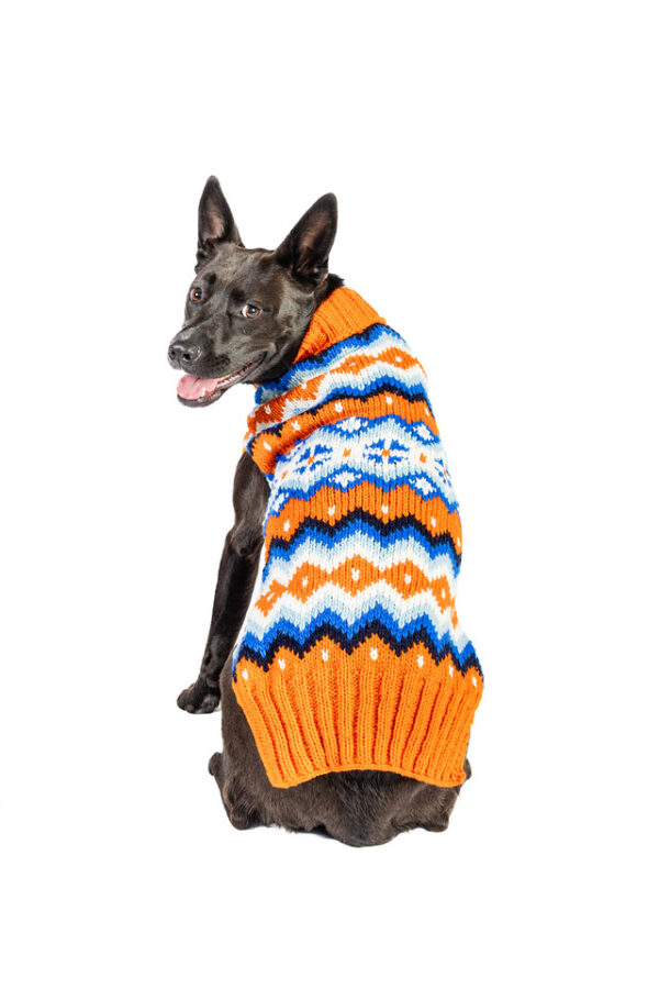 Campfire Dog Sweater - Image 4