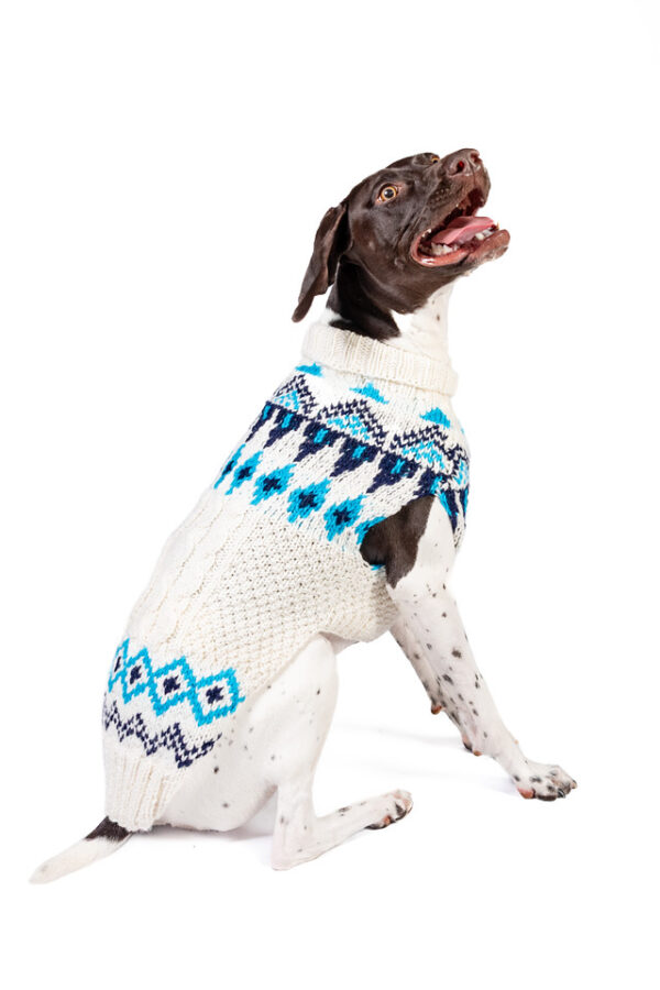 Coastal Cable Dog Sweater - Image 7