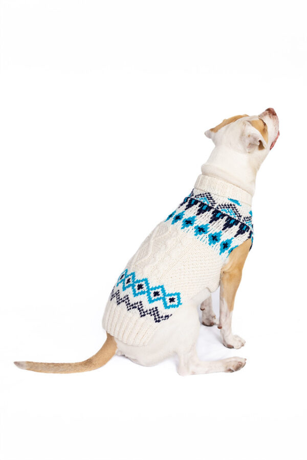 Coastal Cable Dog Sweater - Image 8
