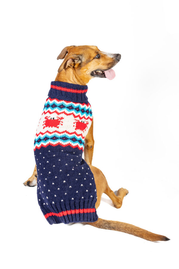 Crabby Dog Sweater - Image 6