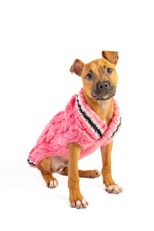 Preppy Pink Cable Knit - Image 4
