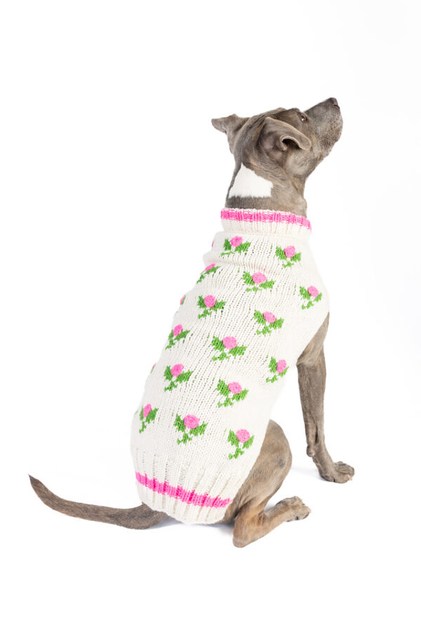 Rose Bud Knit Dog Sweater - Image 2