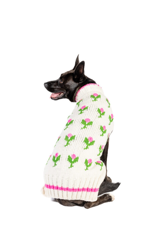 Rose Bud Knit Dog Sweater - Image 3