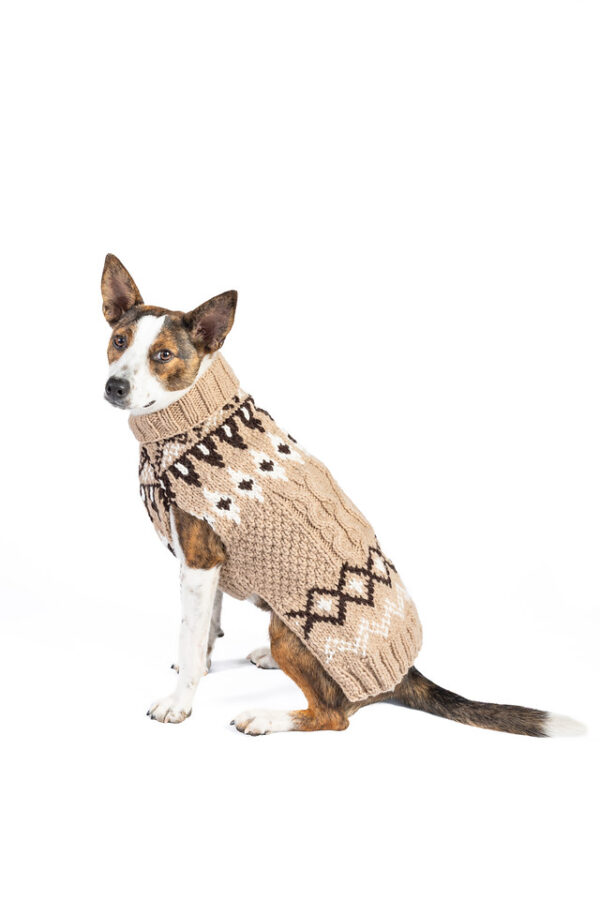 Sandy Cable Knit Dog Sweater