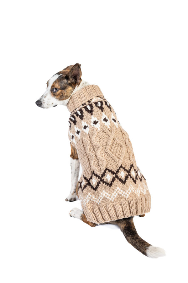 Sandy Cable Knit Dog Sweater - Image 4