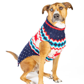 Crabby Wool Dog Sweater