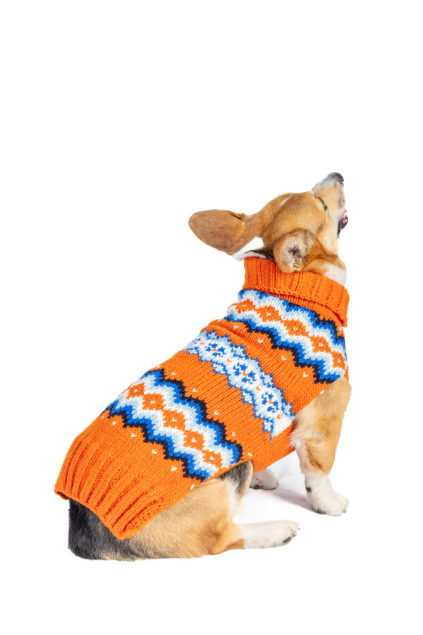 Campfire Dog Sweater - Image 6