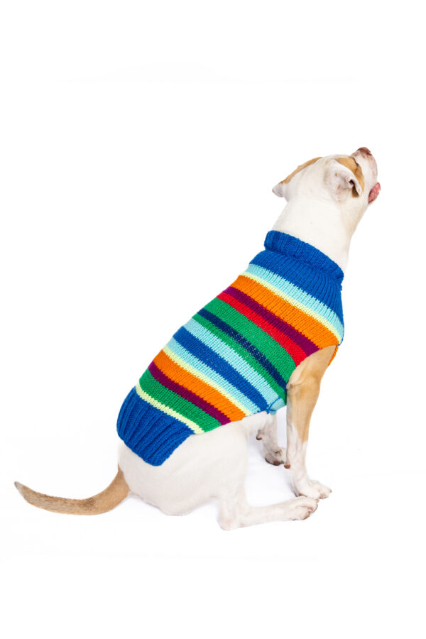 Alpaca Royal Stripe Dog sweater - Image 8