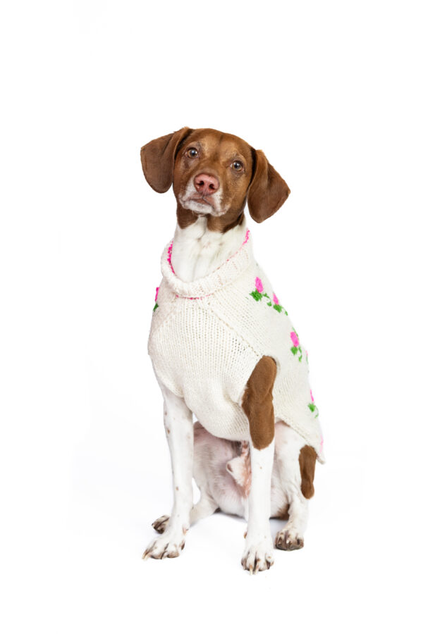 Rose Bud Dog Sweater - Image 8