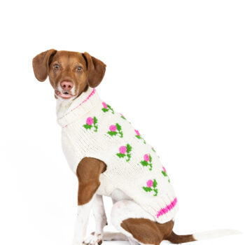 Rose Bud Dog Sweater