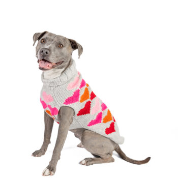 Puppy Love Dog Sweater